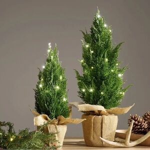New Pottery Barn Medium Lit Topiary Tree with Burlap Base